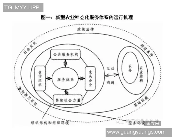 成都网球队的战术创新与转换体系探讨与实践分析