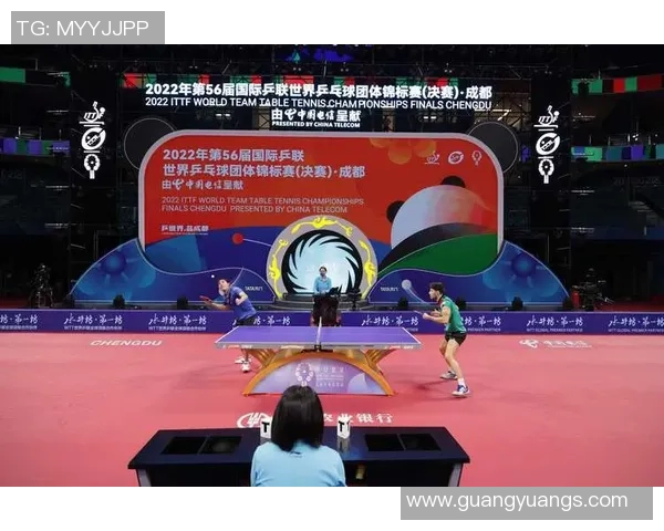 深圳乒乓球队团队协作的成功经验与挑战分析