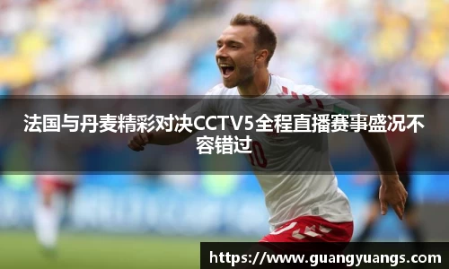 法国与丹麦精彩对决CCTV5全程直播赛事盛况不容错过