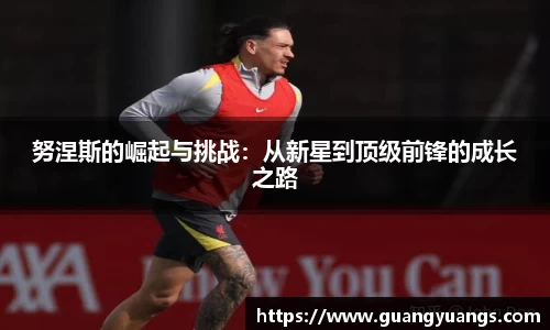 努涅斯的崛起与挑战：从新星到顶级前锋的成长之路