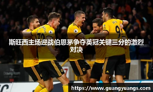 斯旺西主场迎战伯恩茅争夺英冠关键三分的激烈对决