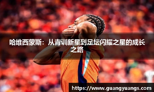 必一bsports体育