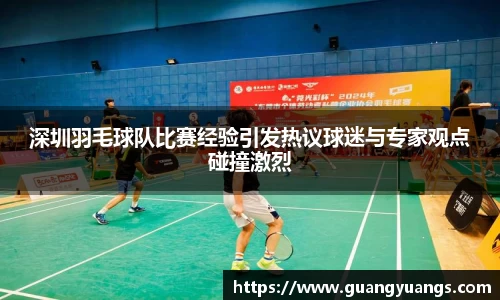 深圳羽毛球队比赛经验引发热议球迷与专家观点碰撞激烈